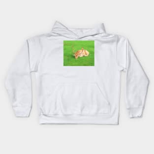 Sleeping Fallow Deer Kids Hoodie